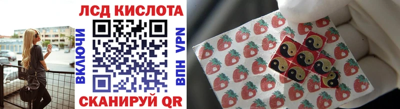 shop состав  Кисловодск  Марки 25I-NBOMe 1500мкг 