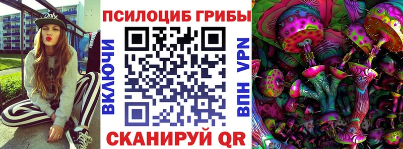 Псилоцибиновые грибы GOLDEN TEACHER  блэк спрут tor  Кисловодск 